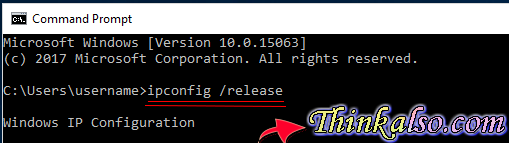 Command to renew an IP Address